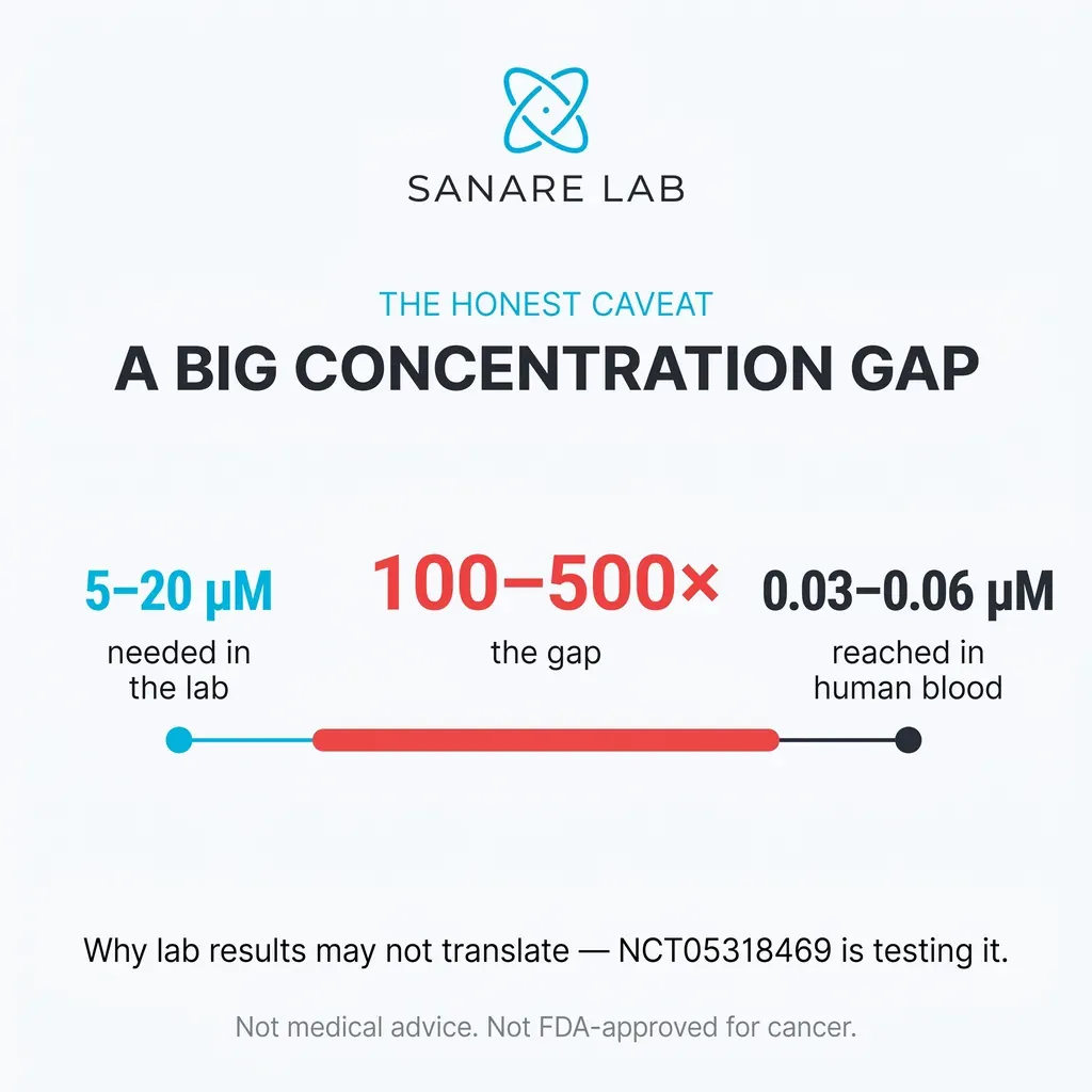 Chart of the concentration gap: 5 to 20 micromolar needed in the lab versus 0.03 to 0.06 micromolar reached in human blood, a 100 to 500 times difference.