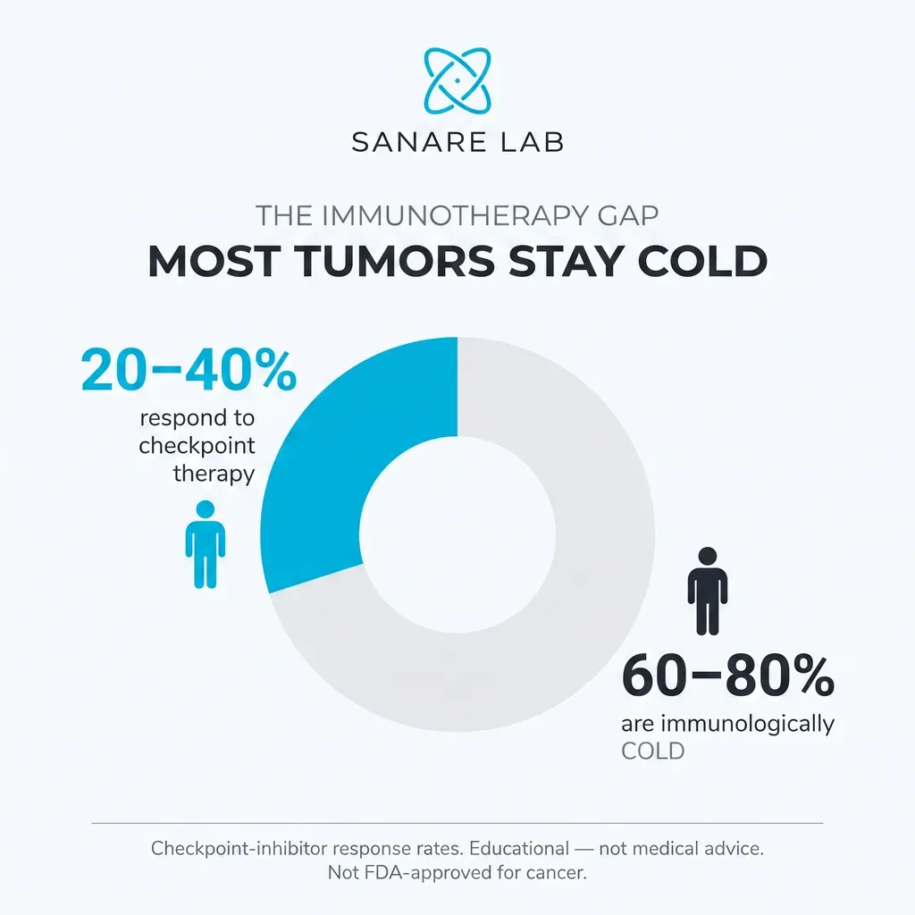 Donut chart showing only 20 to 40 percent of tumors respond to checkpoint immunotherapy while 60 to 80 percent remain immunologically cold.