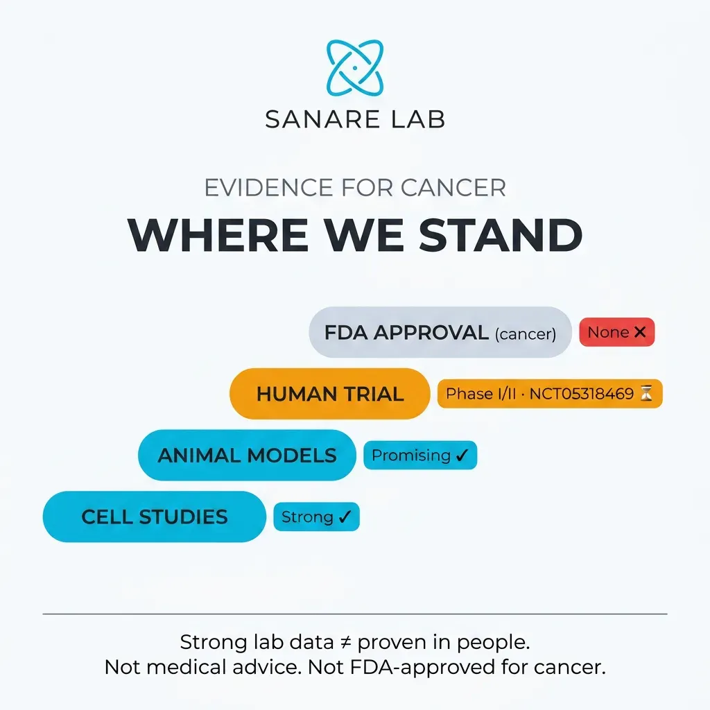 Ivermectin cancer research evidence overview 2026: preclinical studies, in vitro results, animal models and current status of human clinical trials