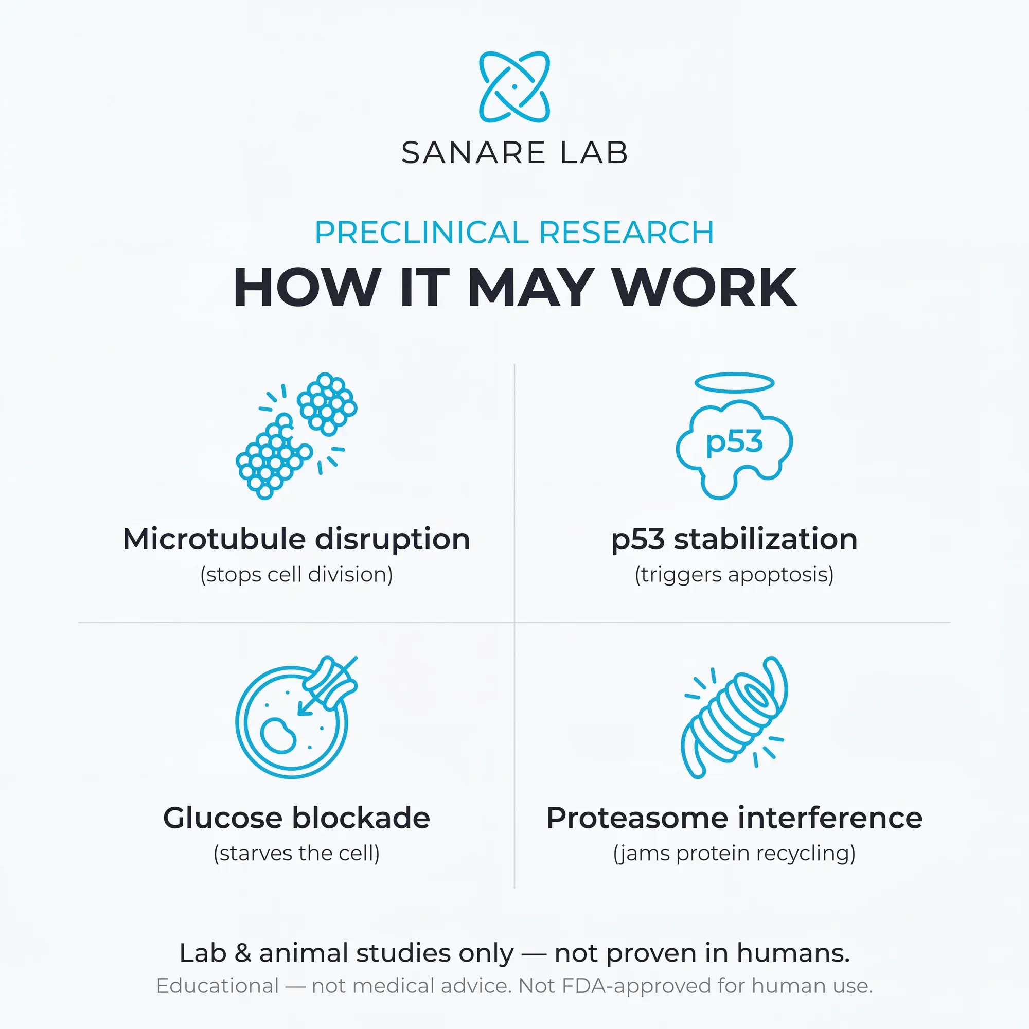 Joe Tippens protocol how fenbendazole may work in preclinical research: microtubule disruption stops cell division, p53 stabilization triggers apoptosis, glucose blockade, proteasome interference — lab and animal studies only 2026