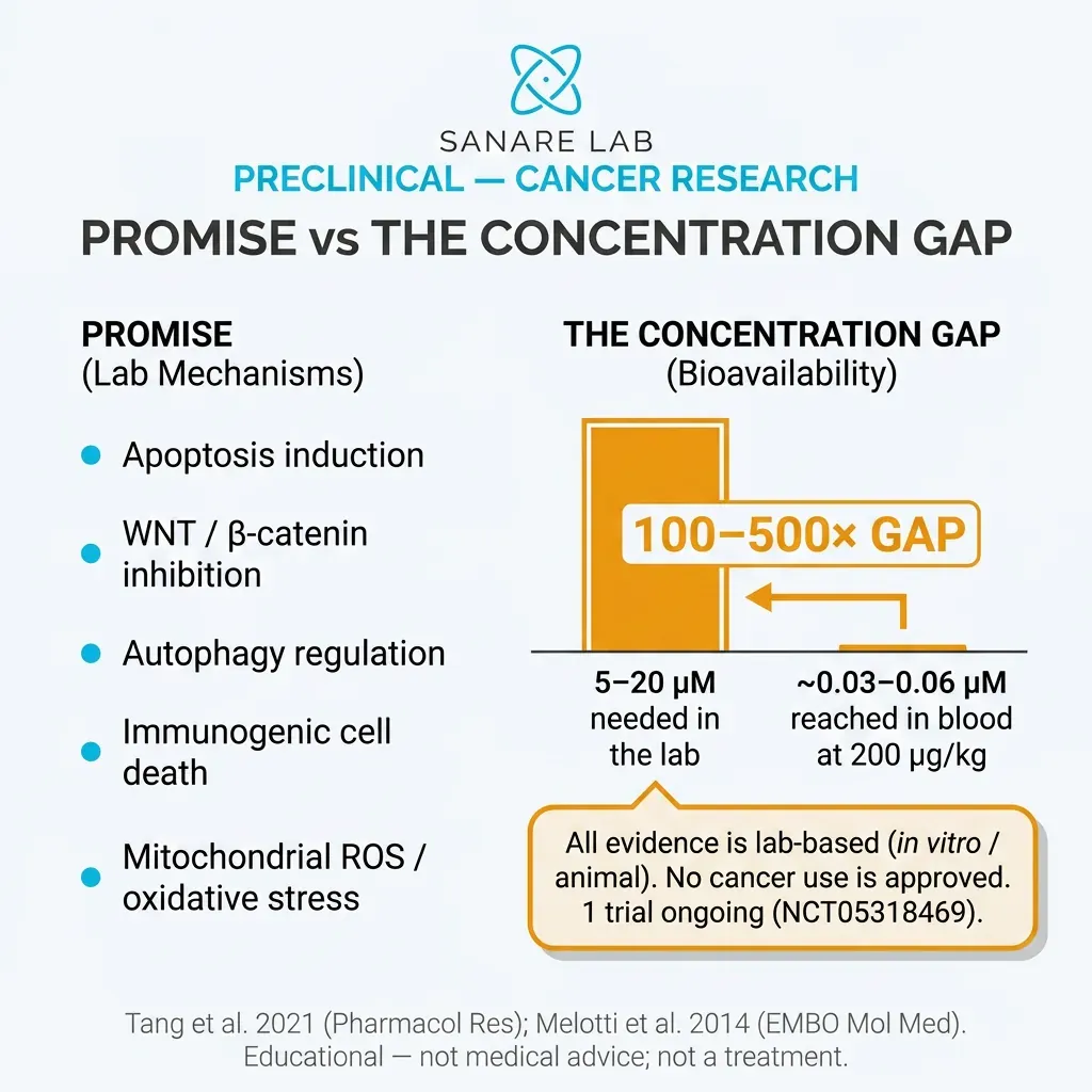 Ivermectin preclinical cancer research concentration gap: 5-20 micromolar needed in lab vs 0.03-0.06 micromolar in blood, 100-500x difference