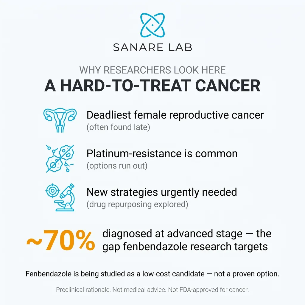 Why researchers study fenbendazole in ovarian cancer: the deadliest female reproductive cancer, often platinum-resistant, 70 percent found late.