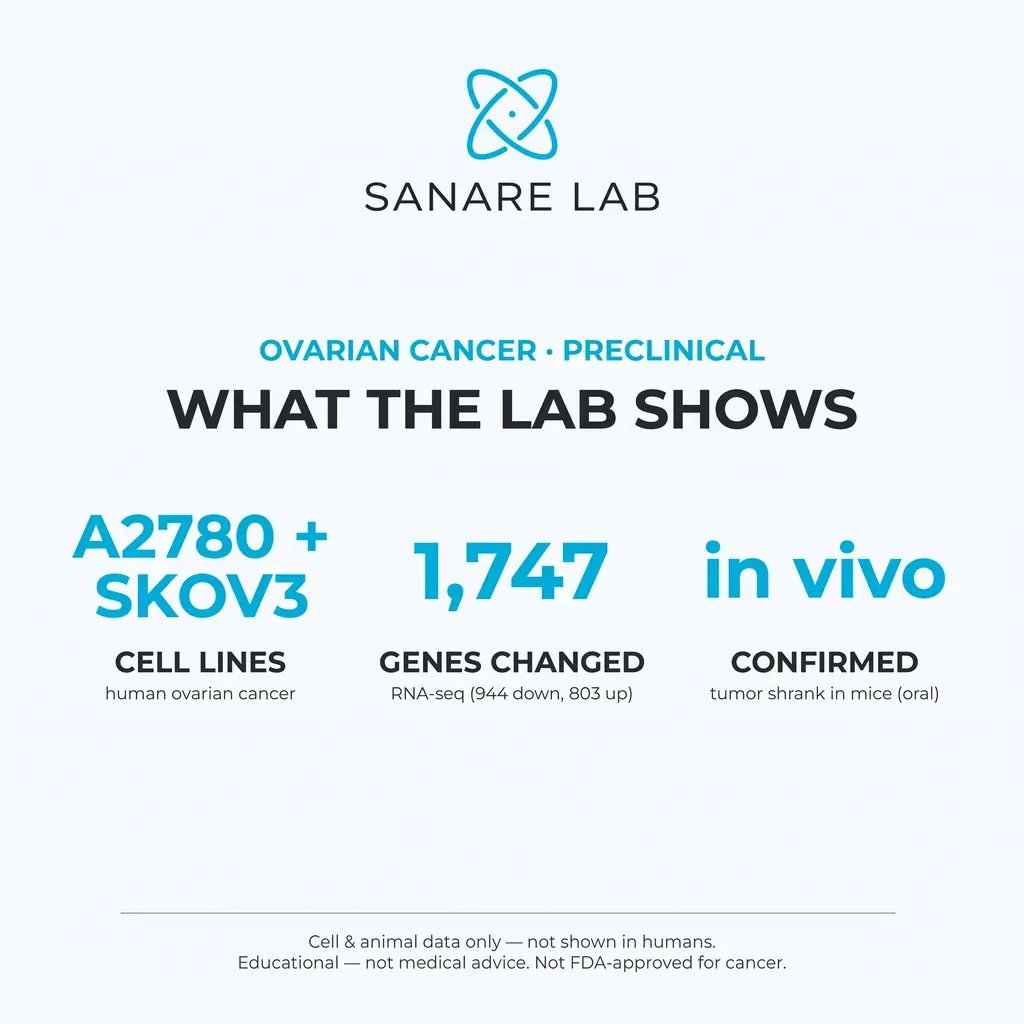 Ovarian preclinical lab summary: fenbendazole tested in A2780 and SKOV3 cell lines, 1,747 genes changed by RNA-seq, and tumors shrank in mice given oral doses.