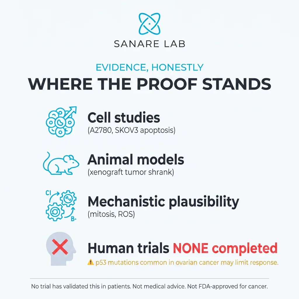Where the proof stands for fenbendazole in ovarian cancer: cell studies, animal models and mechanism, but no completed human trials.