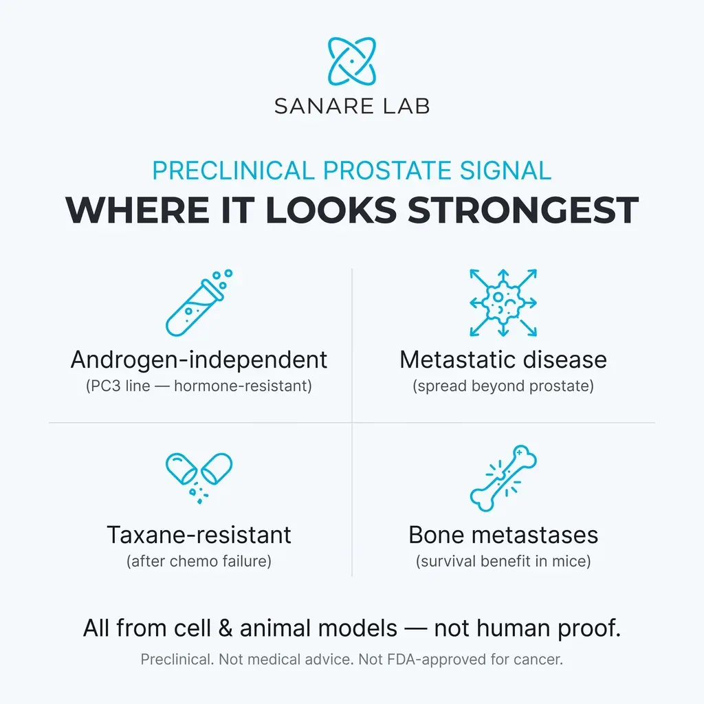 Where the preclinical fenbendazole prostate signal looks strongest: androgen-independent PC3, metastatic disease, taxane-resistant, and bone metastases.