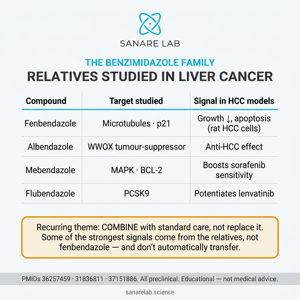 Comparison table of benzimidazole relatives studied in liver cancer models, including mebendazole, albendazole, and flubendazole mechanisms