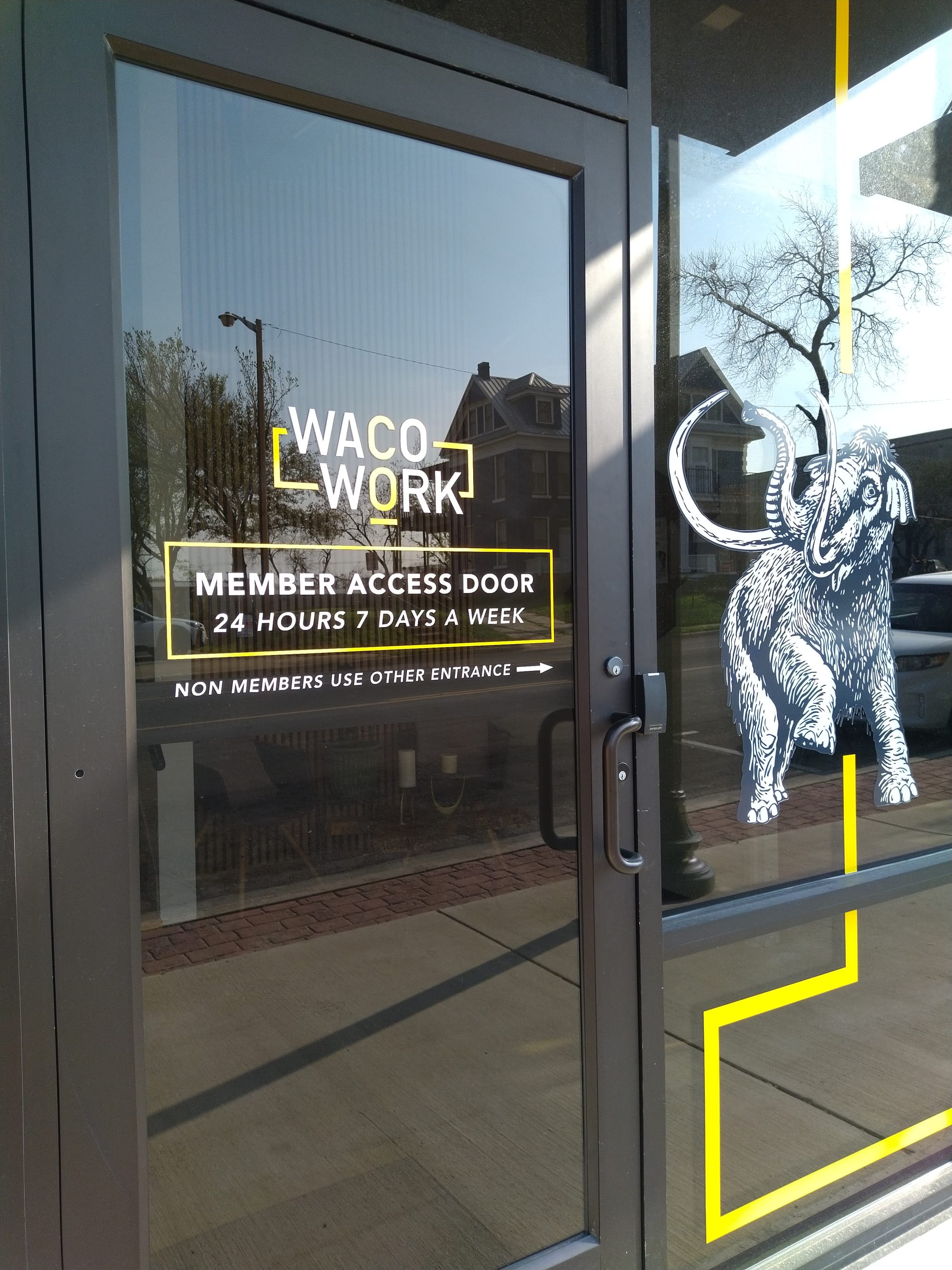 A mammoth on the entrance window of Waco Work