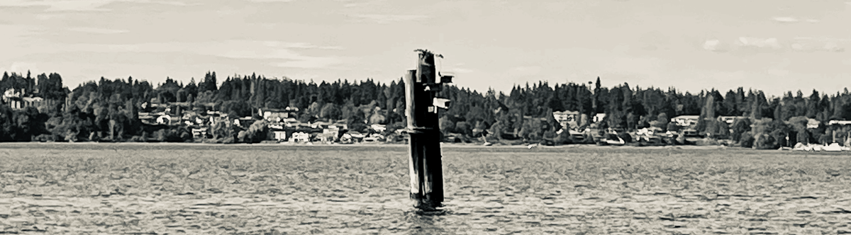 The next Apprenticeship to Love virtual workshop is August 28