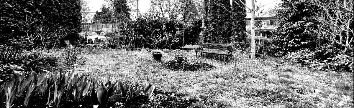 SPRING! LET THE MUD DO IT'S WORK