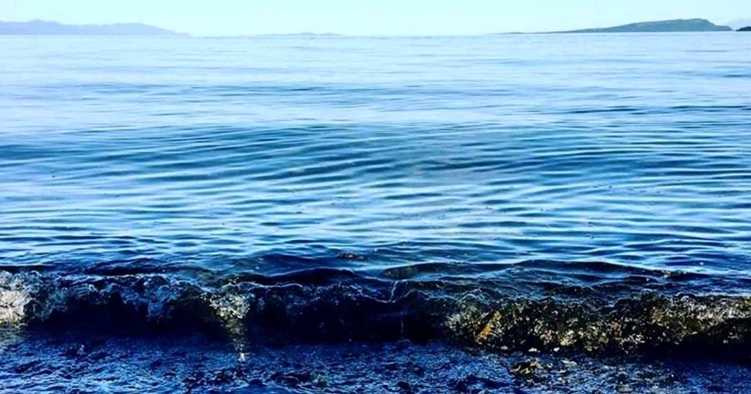 THIS OCEAN