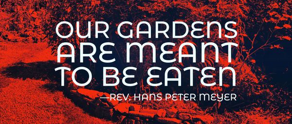 TO THE OCEAN, OR TO ECHO SPRING? Part 1