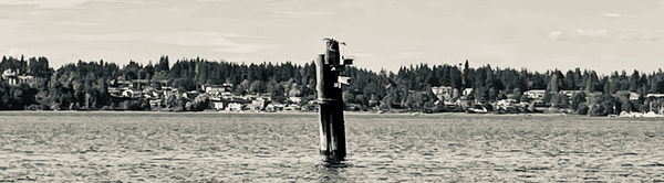 The next Apprenticeship to Love virtual workshop is August 28