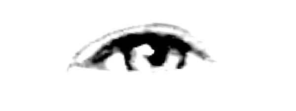 Everyday entitlements