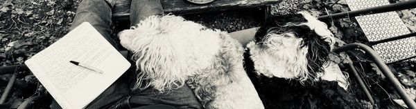 WRITINGS & RITES & PASSAGES