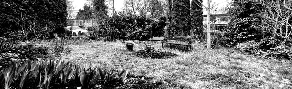 SPRING! LET THE MUD DO IT'S WORK