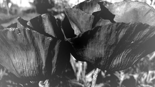 THE CHOICES. THEY NEVER END