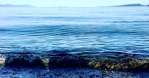THIS OCEAN