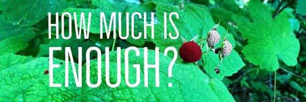 I AM THE ARTIST OF THIS HAPPINESS