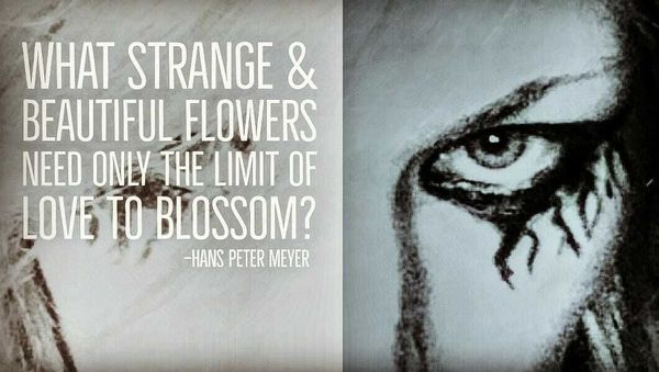 THIS DARKNESS BEGETS LIGHT