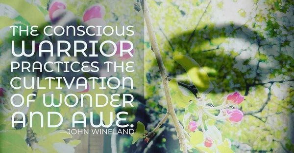 THE APPLE BLOSSOMS, AND I AM AMAZED