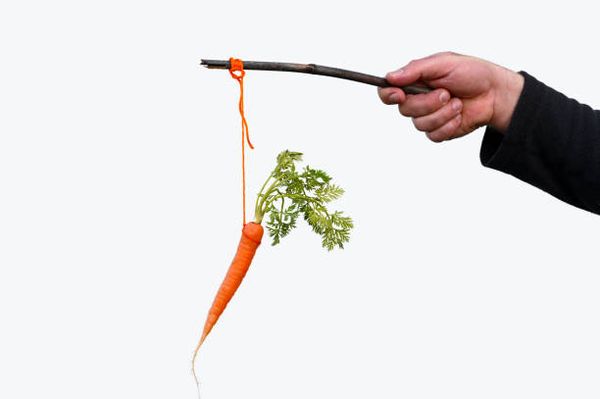 The forever carrot
