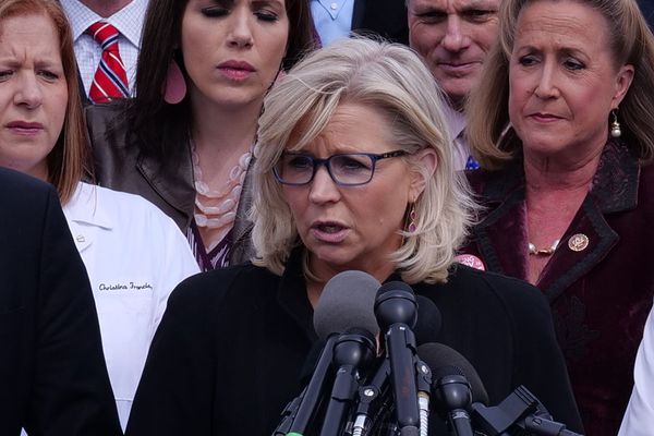The canary in a political coal mine
