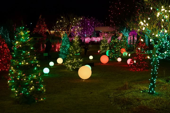 Photos: Home for Christmas