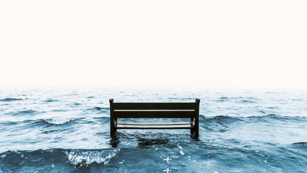 N=1: A Social Scientific Inquiry into Happiness and Academic Labor