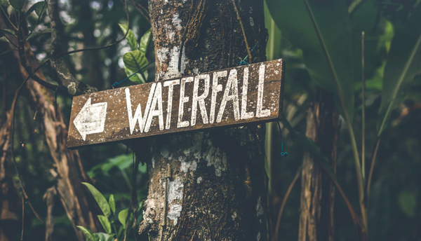 Ray, Jeremy, and other reverberations: