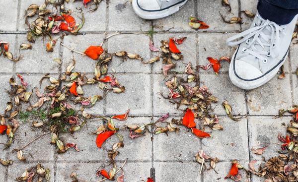 A Pedagogy of Self-Care for a Post-Pandemic Fall