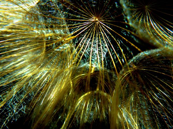 MOOCifying K-12: Relationships, Collaboration, Risk-Taking