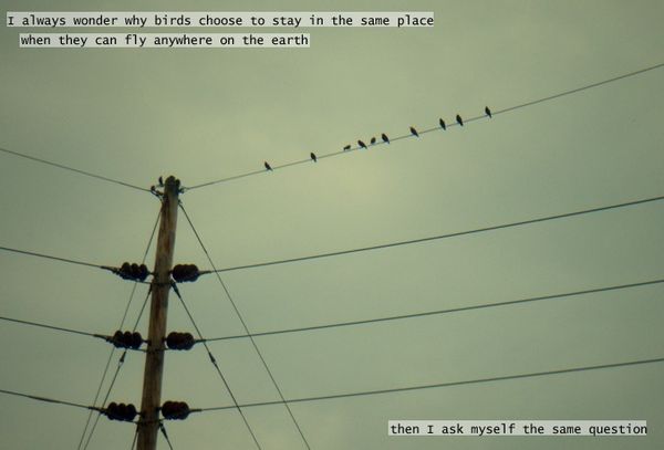 Gaining Insights into Online Teacher Training through Essential Questions