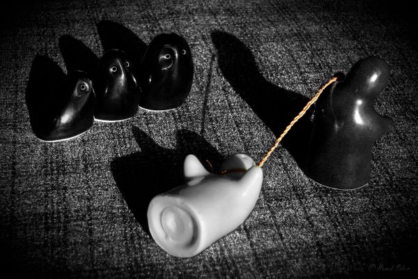 Adjunctification: Living in the Margins of Academe