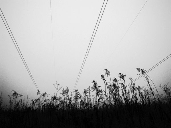 Contingent Labor: an Interview with Lynée Gaillet and Letizia Guglielmo