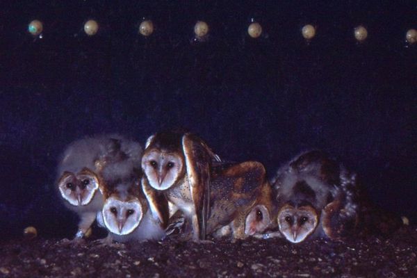 Where Do I Belong?: Contingency and the Psychic Wage