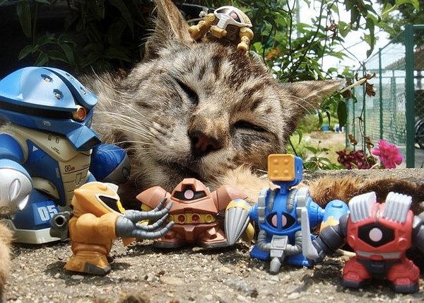 We Are All Made of Web Sites