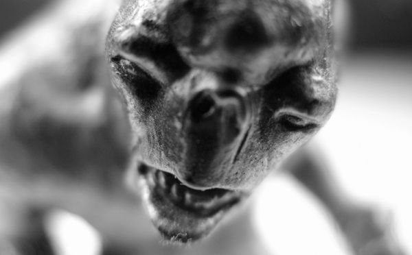 The March of the MOOCs: Monstrous Open Online Courses