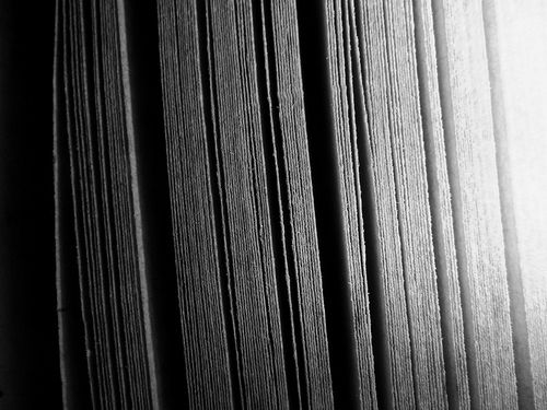 Crowdsourcing a Curriculum, pt. 1: Program Name