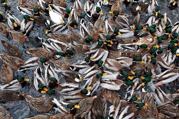 Rules of Engagement; or, How to Build Better Online Discussion