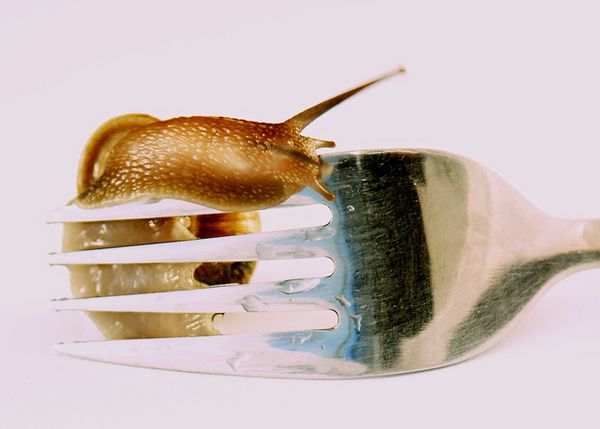 Hybrid Academy, or How #altac Changes Pedagogy