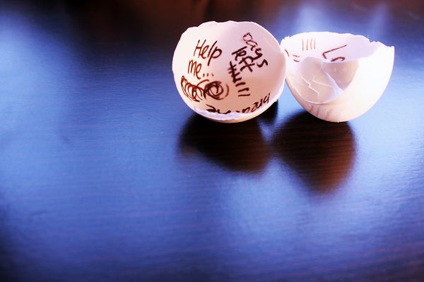 Building Community and Critical Literacies with the Domain of One’s Own Incubator