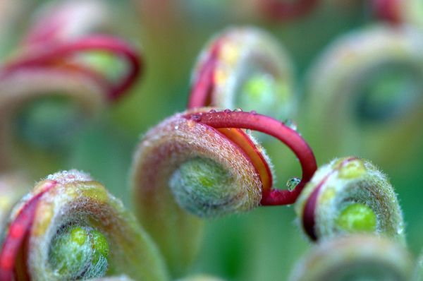 Seeing Composition Three Dimensionally