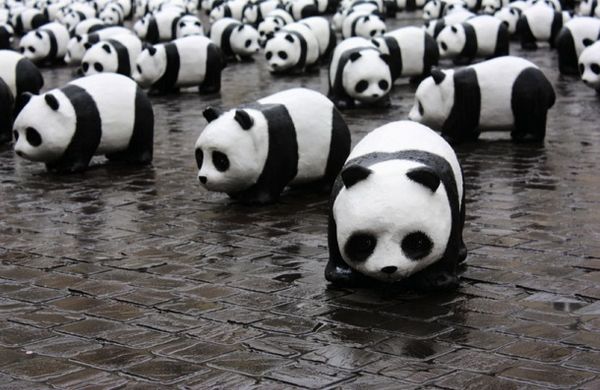 Hacking the Screwdriver: Instructure’s Canvas and the Future of the LMS