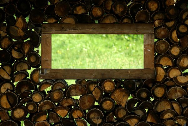 Multimodality as a Frame for Individual and Institutional Change