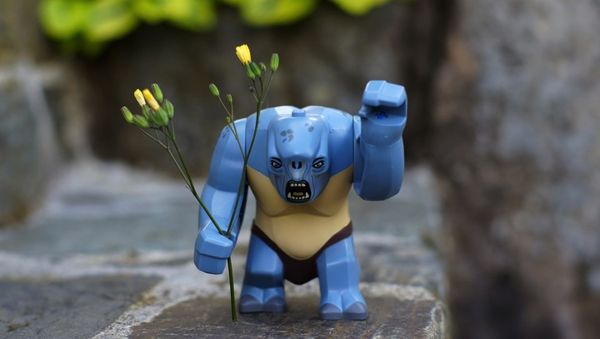 MOOCagogy: Assessment, Networked Learning, and the Meta-MOOC