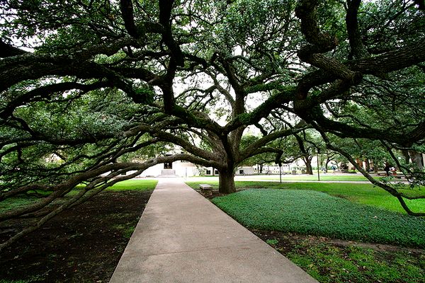 Editorial Pedagogy, pt. 2: Developing Authors