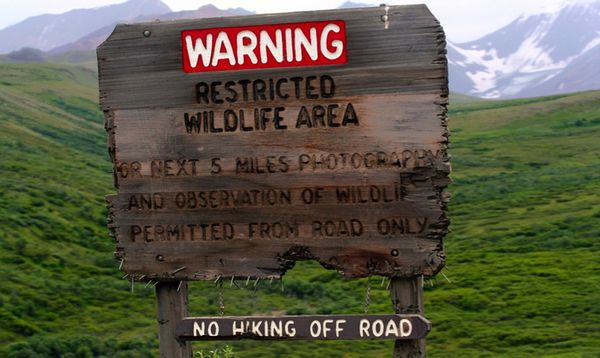 The Threat of Scholarly Openness: Twitter and Its Discontents