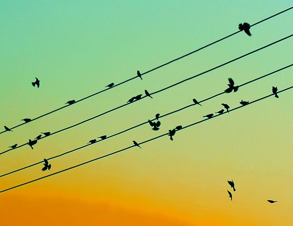 What is music theory?