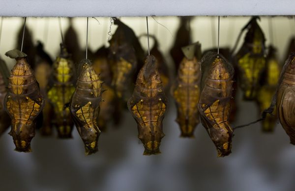 Bend Until It Breaks: Digital Humanities and Resistance