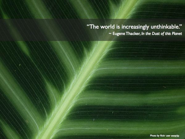 Toward an Interactive Criticism: House of Leaves as Haptic Interface